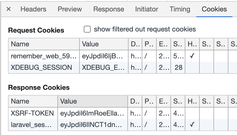 Devtools Cookies